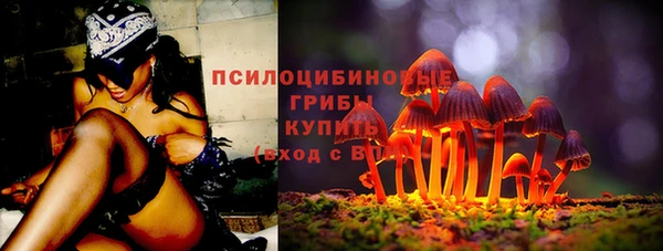 mix Каменногорск