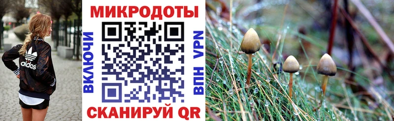 продажа наркотиков  площадка Telegram  Псилоцибиновые грибы Magic Shrooms  Донской 