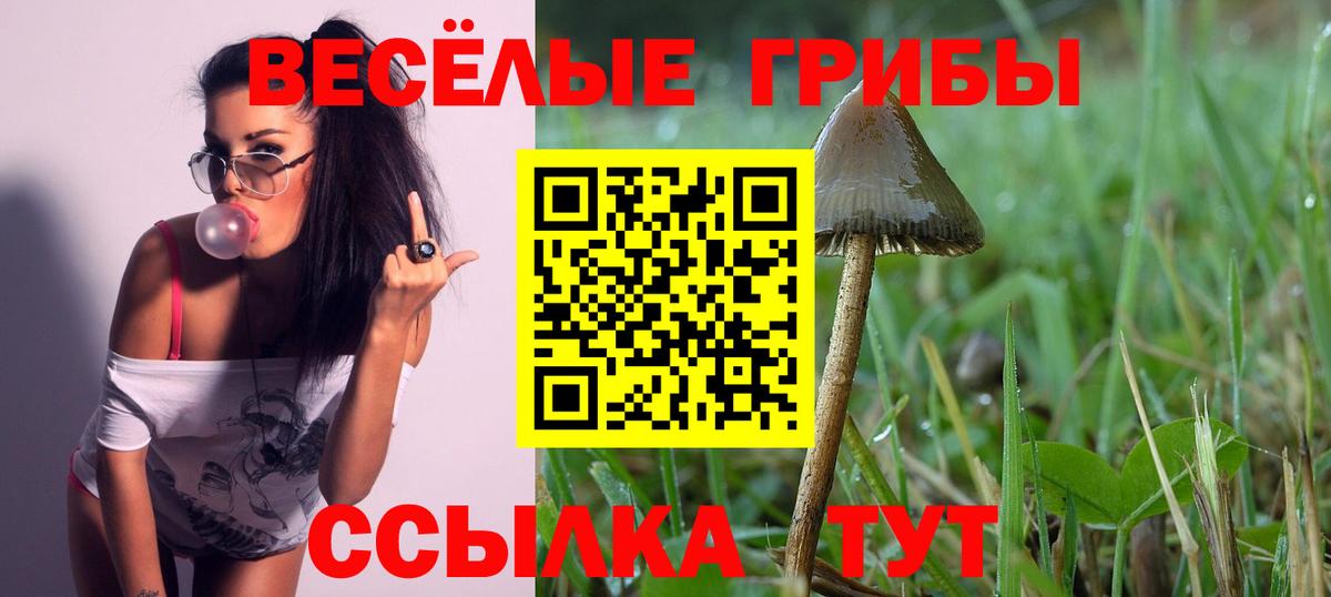 Псилоцибиновые грибы Magic Shrooms  Вход с VPN  Донской 